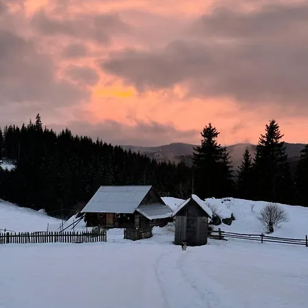 Holiday home Casa Viorica- Pleta Cirlibaba