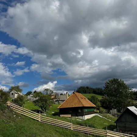 Casa Viorica- Pleta *