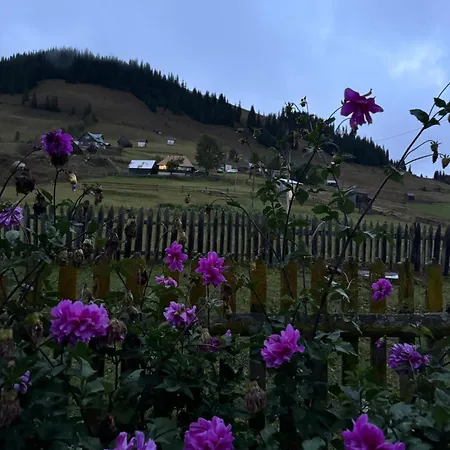 Holiday home Casa Viorica- Pleta *