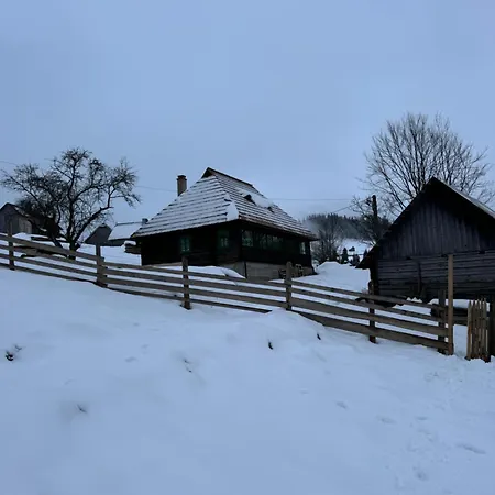 Casa Viorica- Pleta *