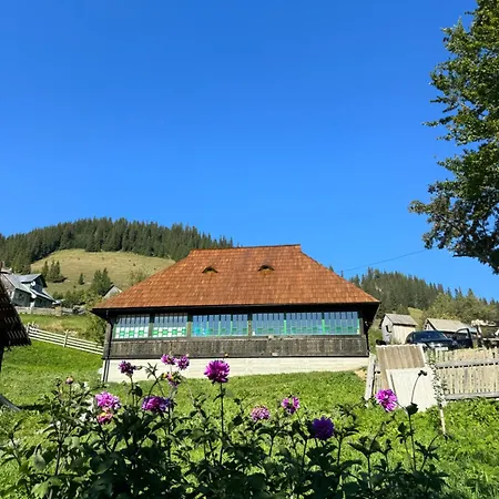 Casa Viorica- Pleta
