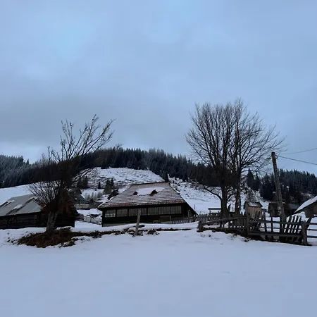 Casa Viorica- Pleta *