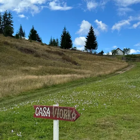 Casa Viorica- Pleta Holiday home