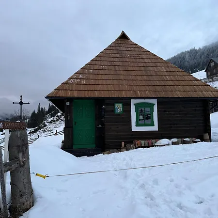 Holiday home Casa Viorica- Pleta Cirlibaba